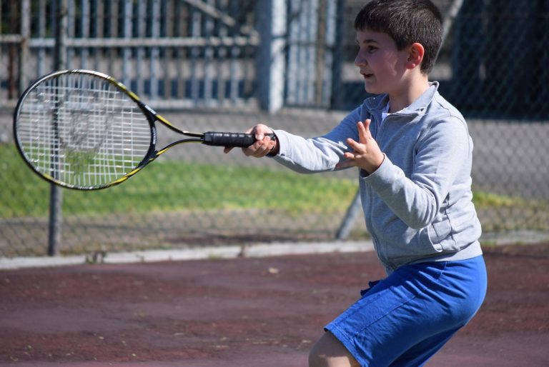 monica niculescu dublu