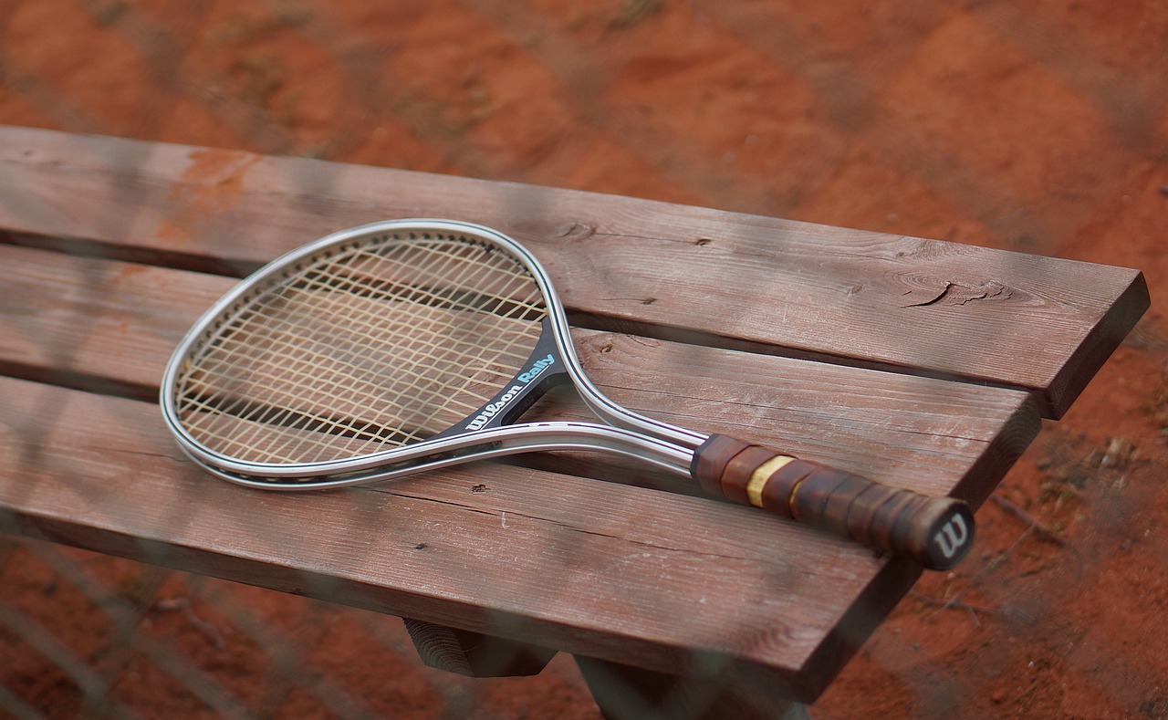 curiozitati despre simona halep