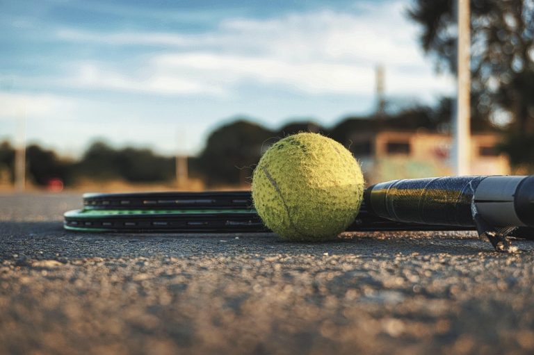 fed cup romania cehia