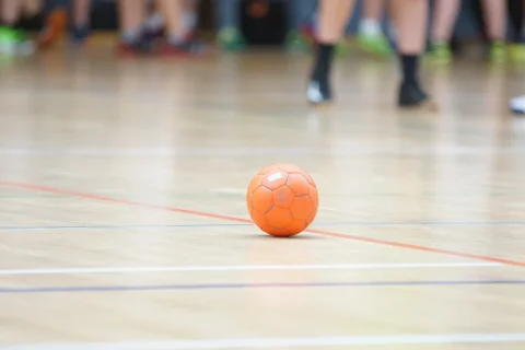 echipa nationala de handbal feminin componenta