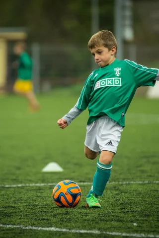 echipa nationala de fotbal a elvetiei