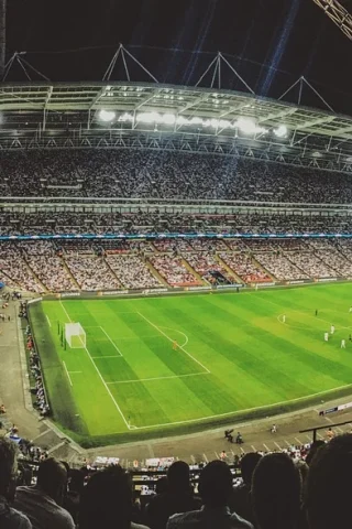 brazilia echipa nationala
