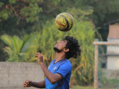 ce inseamna 4 4 2 in fotbal
