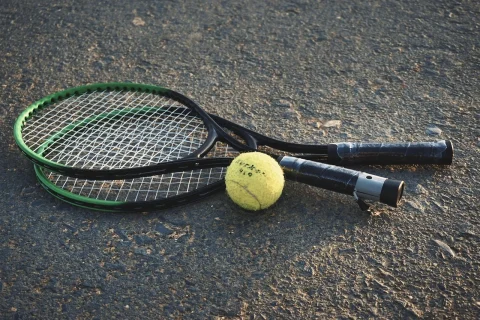 ce studii are ilie nastase