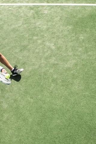 informatii despre simona halep