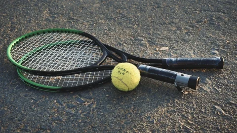 cincinnati open