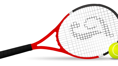 cati copii are ilie nastase