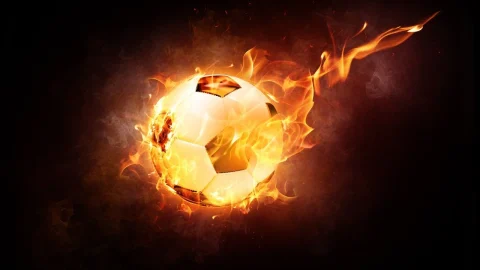 ce inseamna fifa
