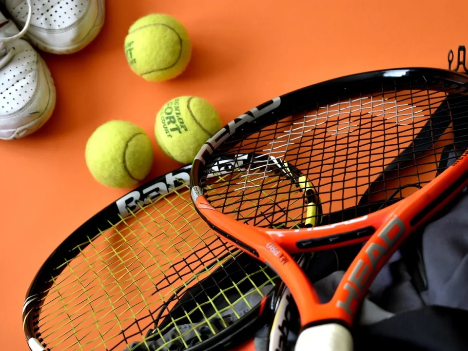 wimbledon 2024 finala masculina