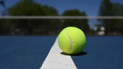 ilie nastase varsta