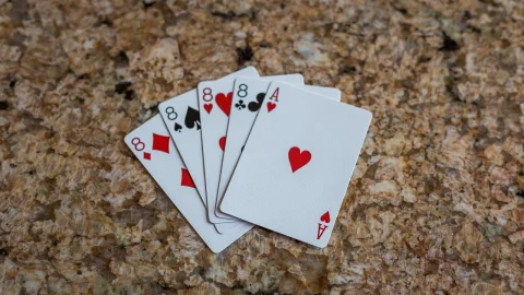 cat dureaza o retragere la princess casino