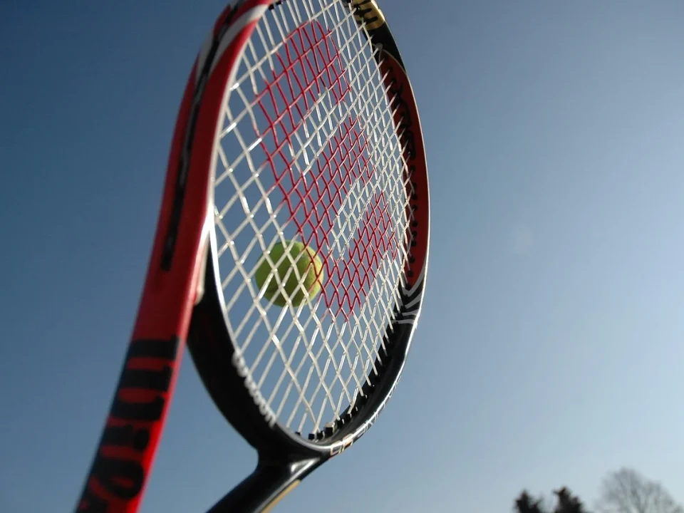 emma raducanu andy murray