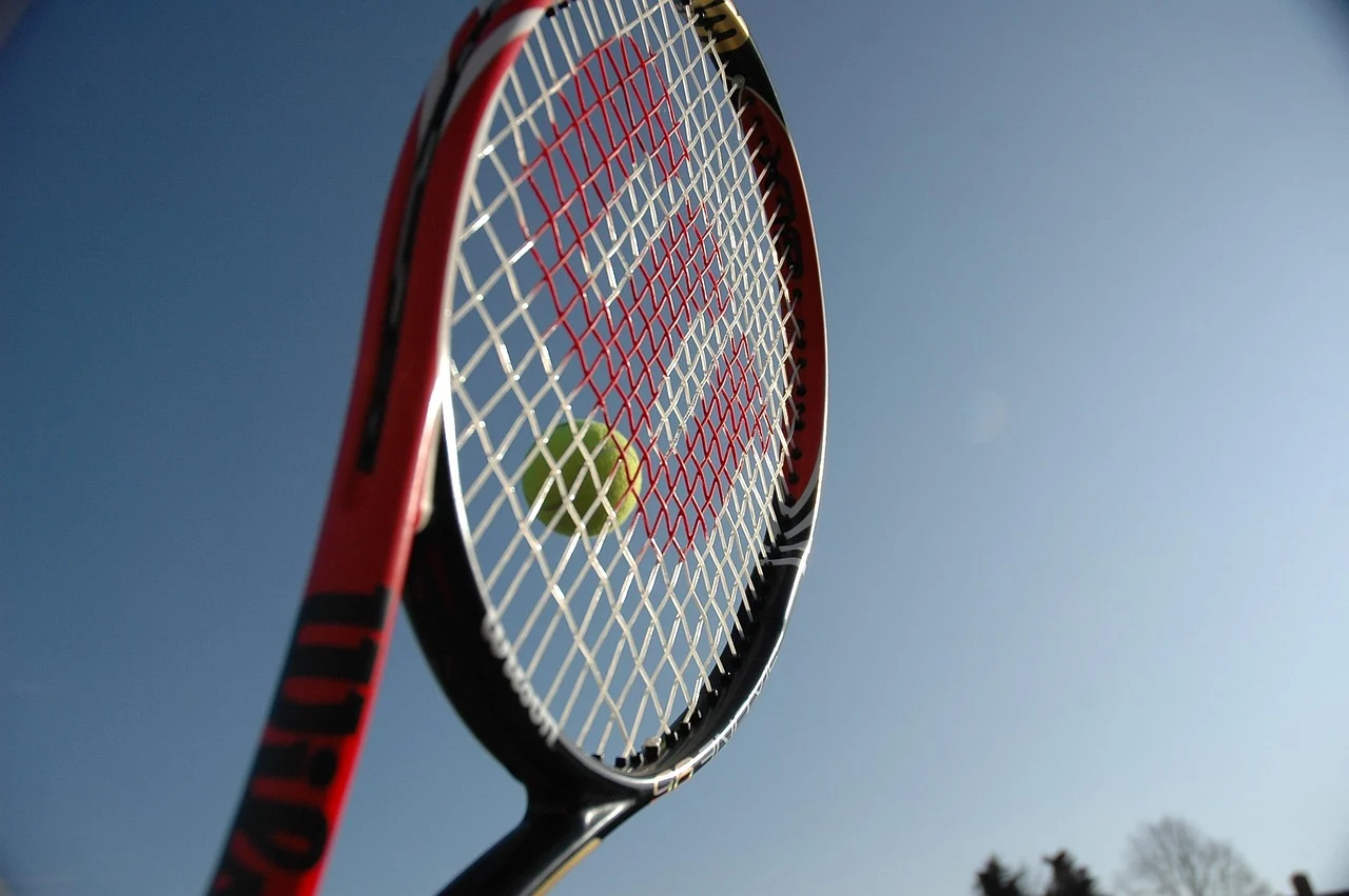 elina svitolina copil